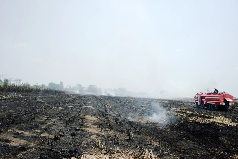 Liên tiếp xảy ra 2 đám cháy lớn trên địa bàn huyện Bình Chánh ảnh 1